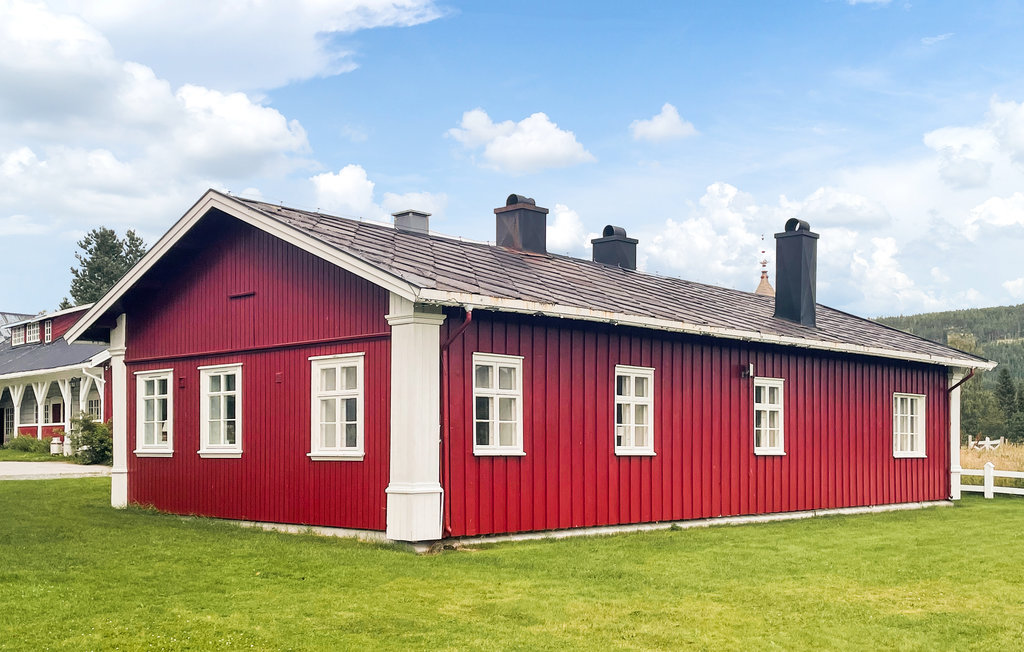 Ferienhaus - Koppang , Norwegen - N30193 8