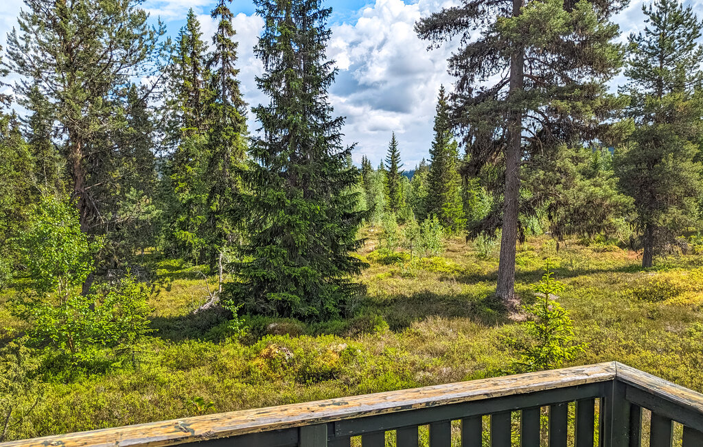 Ferienhaus - Jordet/Trysil , Norwegen - N30247 9