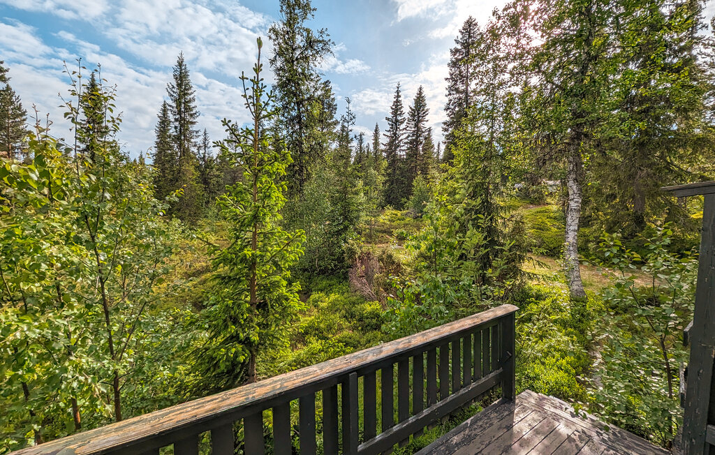 Ferienhaus - Jordet/Trysil , Norwegen - N30247 11