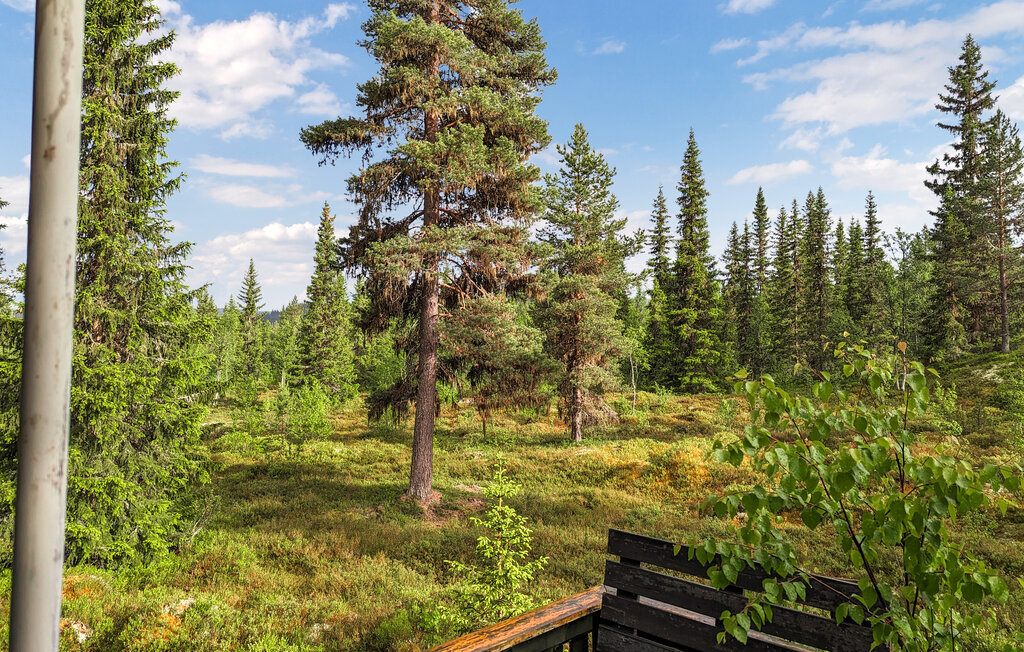 Ferienhaus - Jordet/Trysil , Norwegen - N30247 14