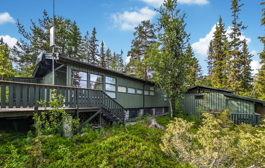 Ferienhaus - Jordet/Trysil , Norwegen - N30247 1