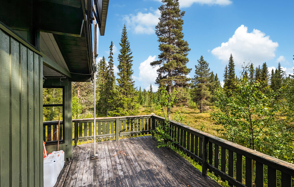 Ferienhaus - Jordet/Trysil , Norwegen - N30247 2