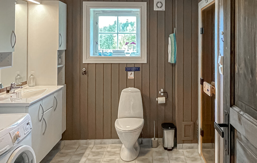 Ferienhaus - Birkenåsen/Rena , Norwegen - N30062 18