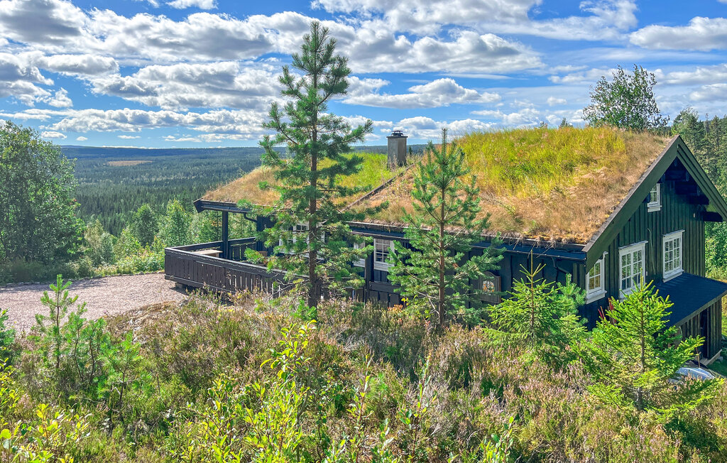 Ferienhaus - Birkenåsen/Rena , Norwegen - N30062 10