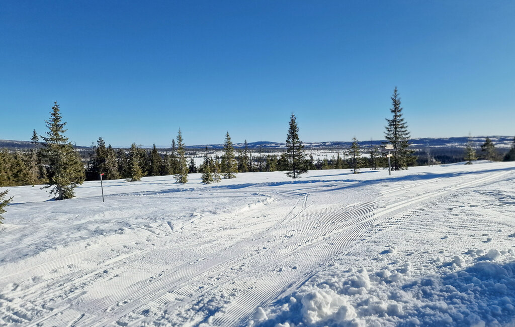 Feriehus - Hamar/Vang på Hedmarken , Norge - N30273 19