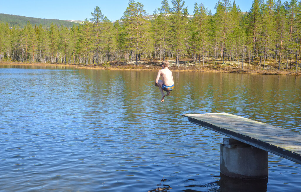 Feriehuse - Ljørdalen , Norge - N30037 22
