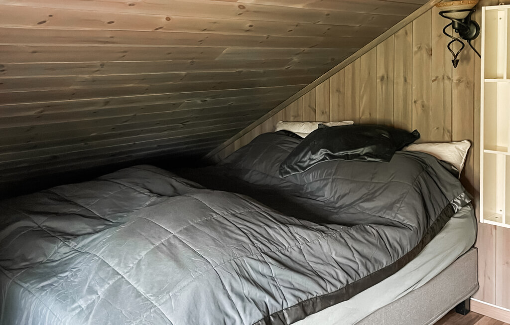 Semesterhus - Renåfjellet/Rendalen , Norge - N30165 20