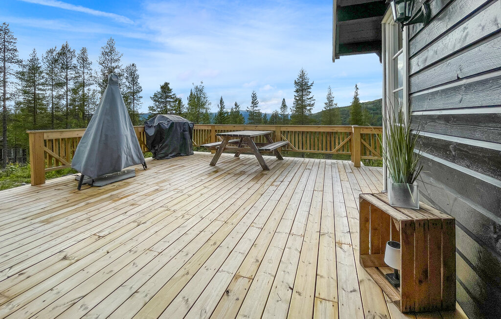 Semesterhus - Renåfjellet/Rendalen , Norge - N30165 2