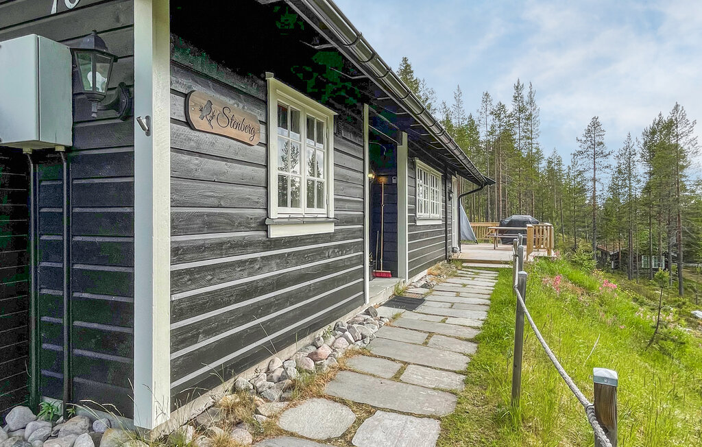 Semesterhus - Renåfjellet/Rendalen , Norge - N30165 9