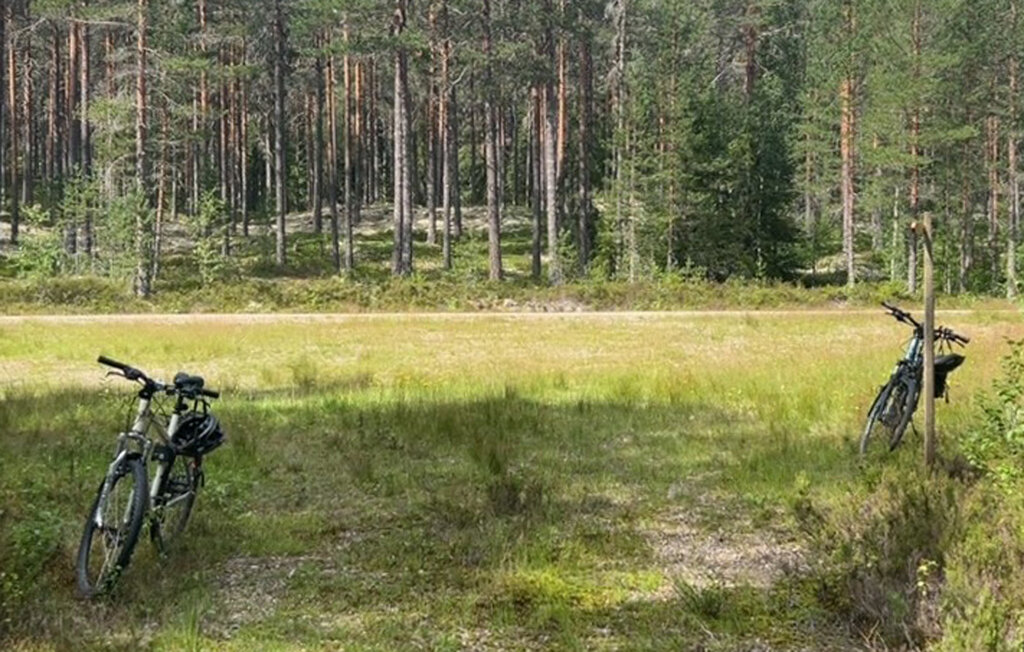 Feriehus - Finnskogen/Skasenden , Norge - N30283 7