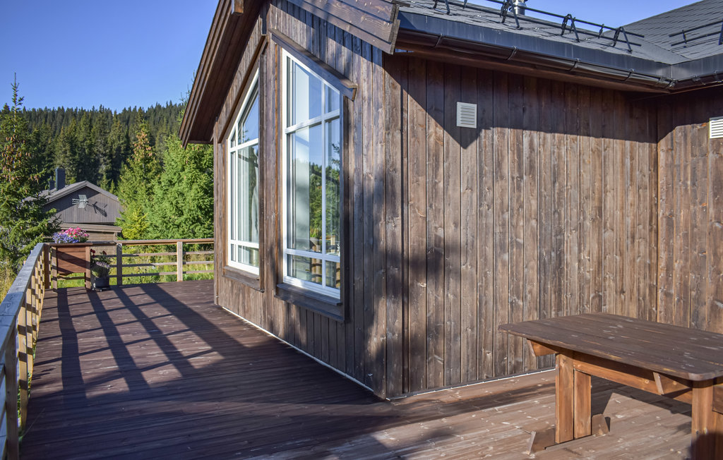 Ferienhaus - Hafjell , Norwegen - N31697 10