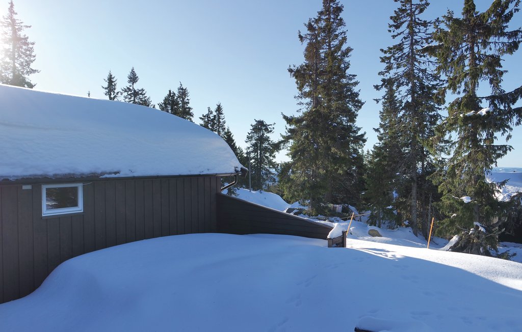 Semesterhus - Sjusjøen , Norge - N31997 15