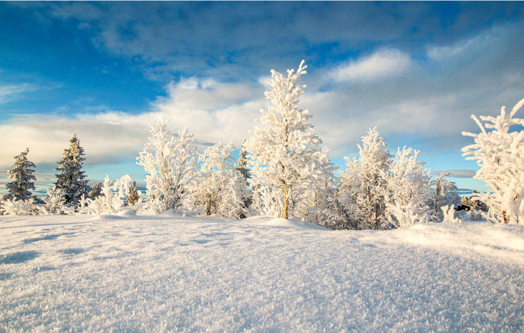 Feriehuse - Ringebu , Norge - N31861 26