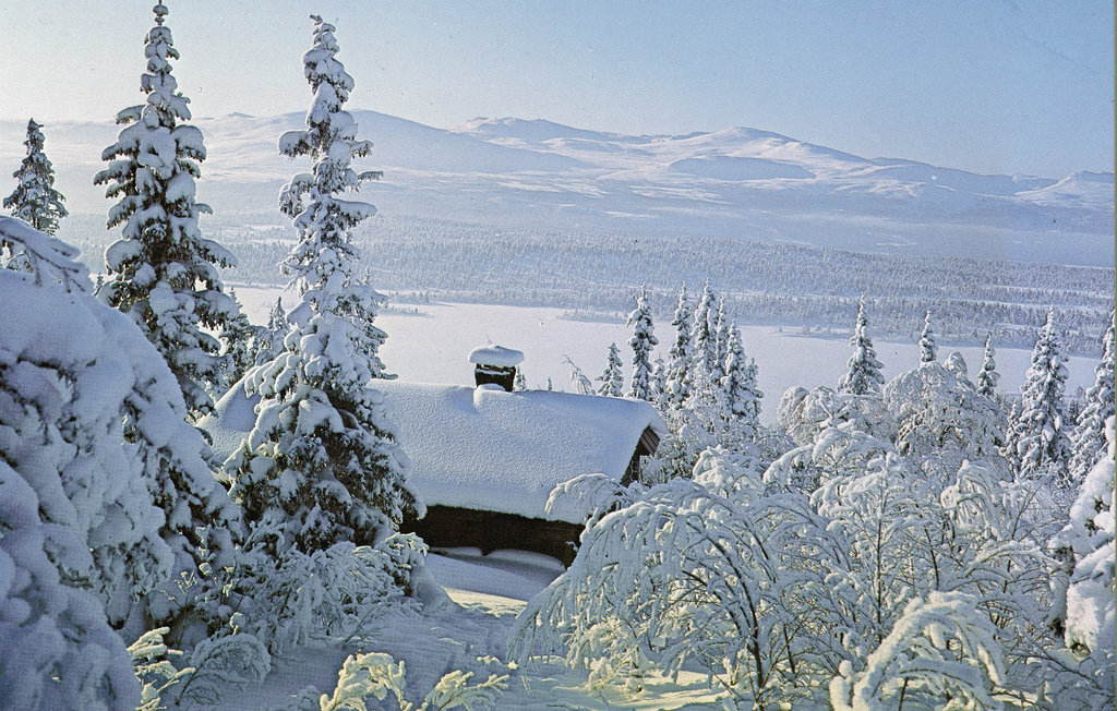 Semesterhus - Vinstra/Fefor , Norge - N31215 8