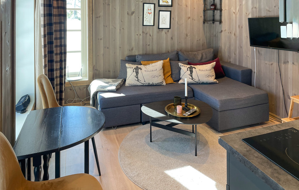 Ferienwohnung - Hafjell , Norwegen - N31622 3