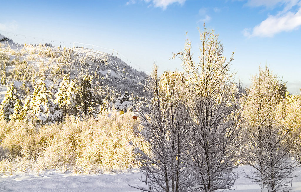 Feriehuse - Gålå , Norge - N31213 16