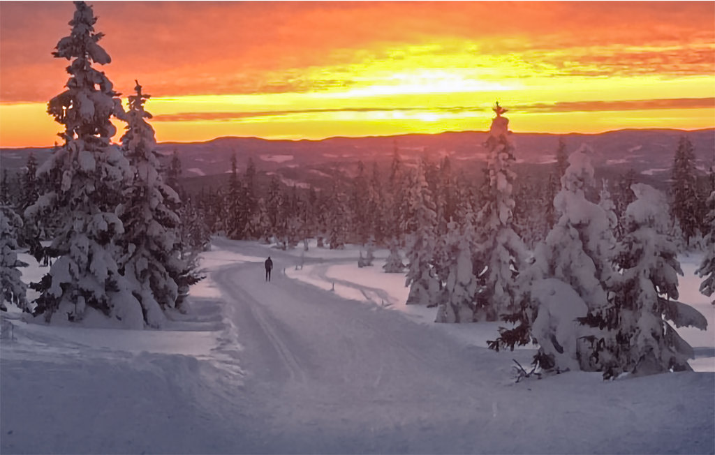 Feriehuse - Nordseter/Lillehammer/Sjusjøen , Norge - N31835 17