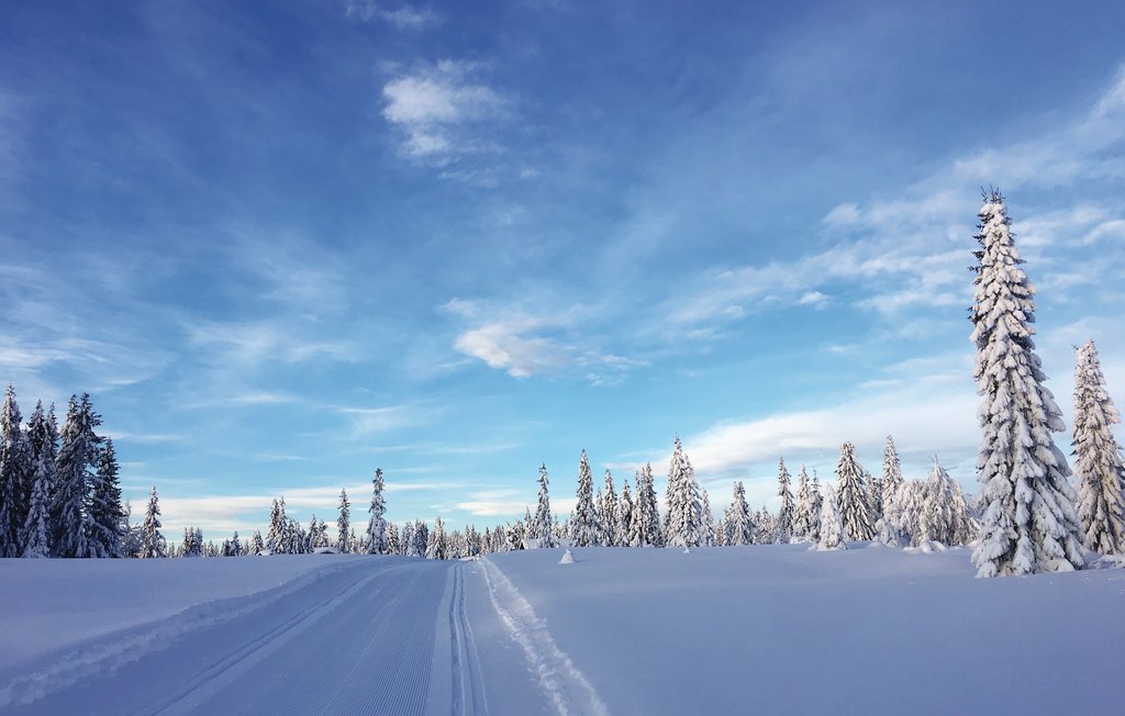 Feriehus - Sjusjøen , Norge - N31934 7