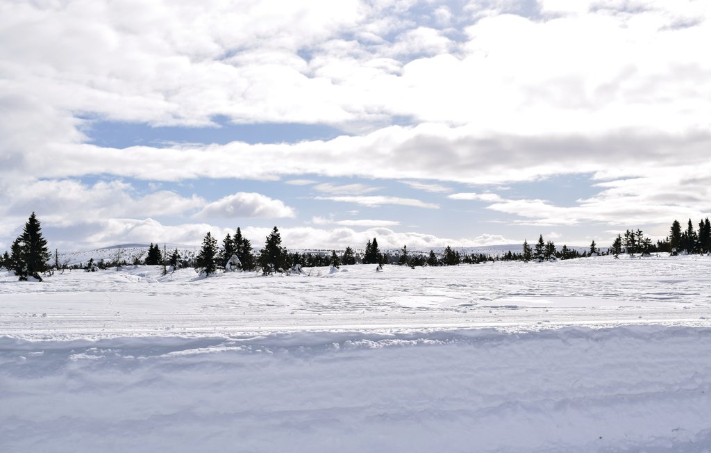 Feriehuse - Sjusjøen , Norge - N31949 13