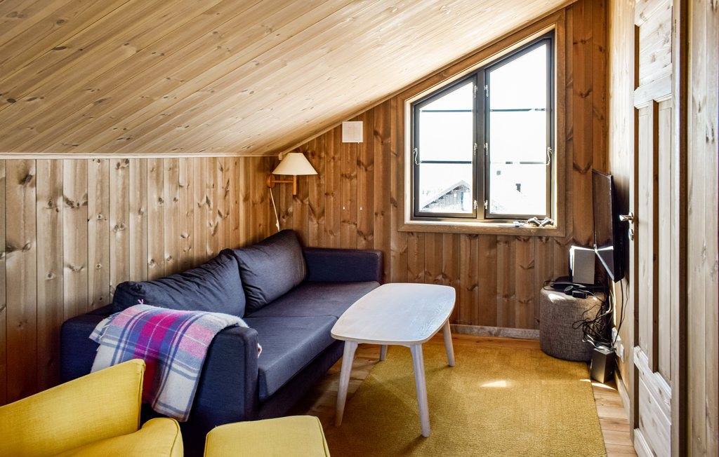 Ferienhaus - Hafjell , Norwegen - N31613 6