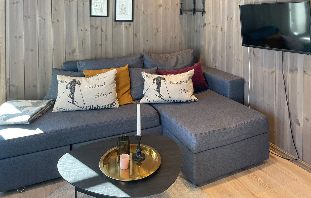 Ferienwohnung - Hafjell , Norwegen - N31622 5