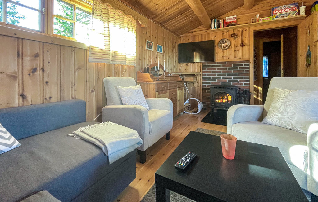 Feriehuse - Sjusjøen , Norge - N31843 12