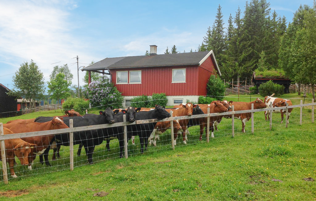 Ferienhaus - Skeikampen/Svingvoll , Norwegen - N31296 8