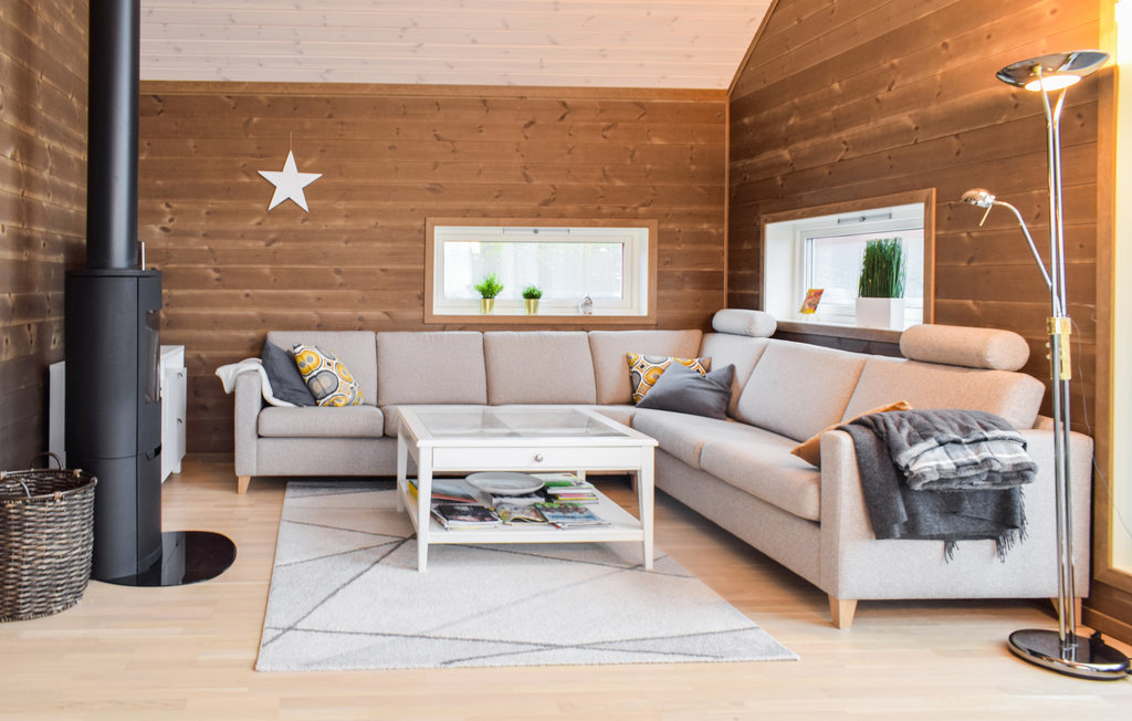 Ferienhaus - Sjusjøen , Norwegen - N31941 2