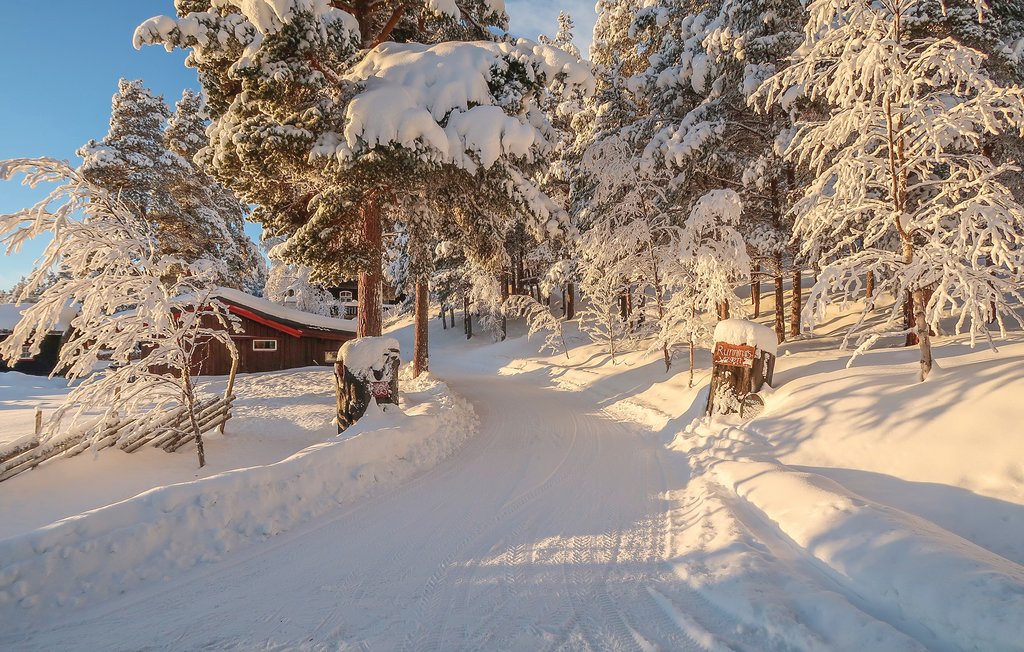 Feriehuse - Bakketun Heidal , Norge - N31130 35