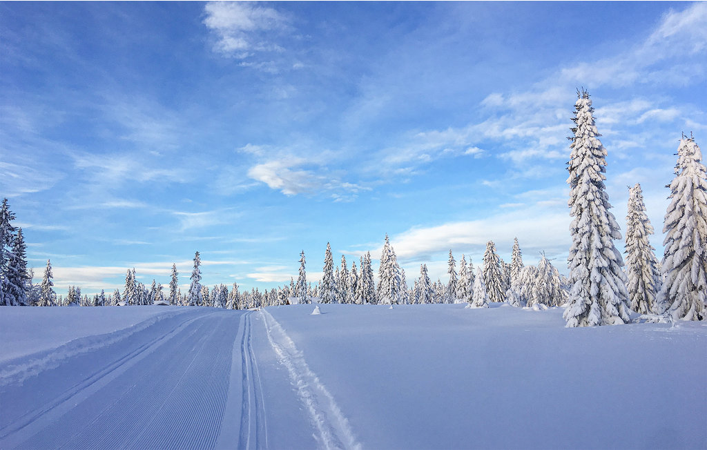 Ferienwohnung - Sjusjøen , Norwegen - N31884 12