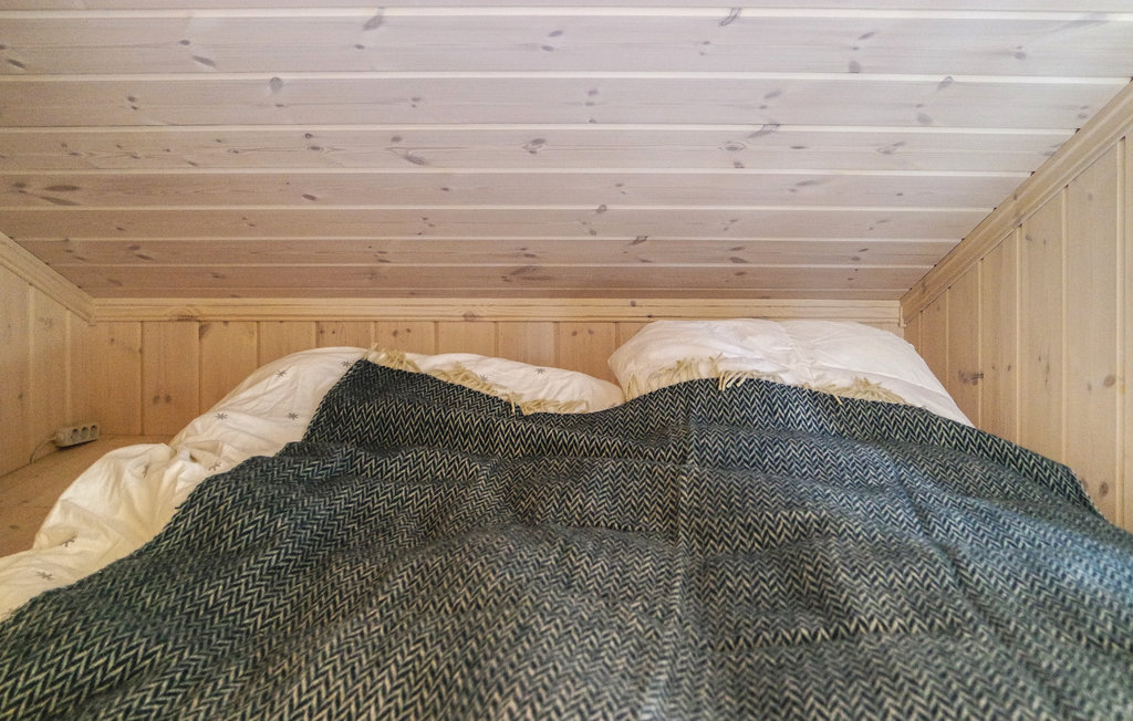 Feriehus - Nordseter/Lillehammer/Sjusjøen , Norge - N31960 19