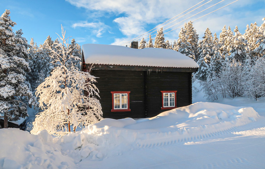 Feriehuse - Bakketun Heidal , Norge - N31130 11