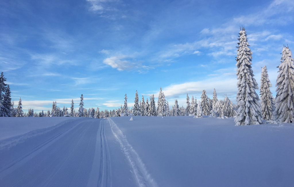 Lejlighed - Sjusjøen , Norge - N31856 13