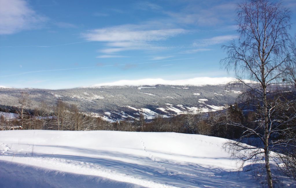 Feriehuse - Bakketun Heidal , Norge - N31130 48