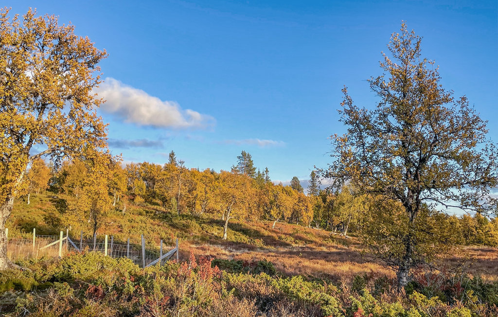 Feriehus - Rondane/Nord-Fron , Norge - N31368 9