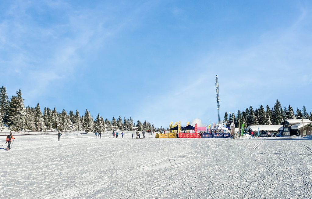Ferienwohnung - Sjusjøen , Norwegen - N31561 11
