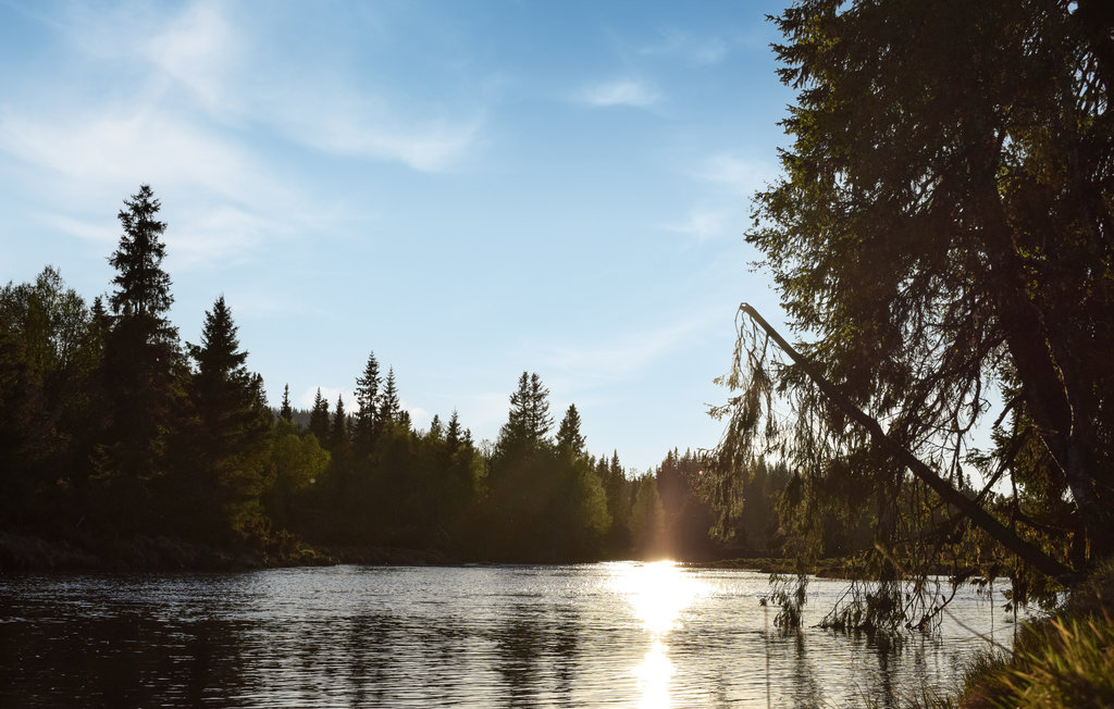 Feriehuse - Nordseter/Lillehammer/Sjusjøen , Norge - N31848 8