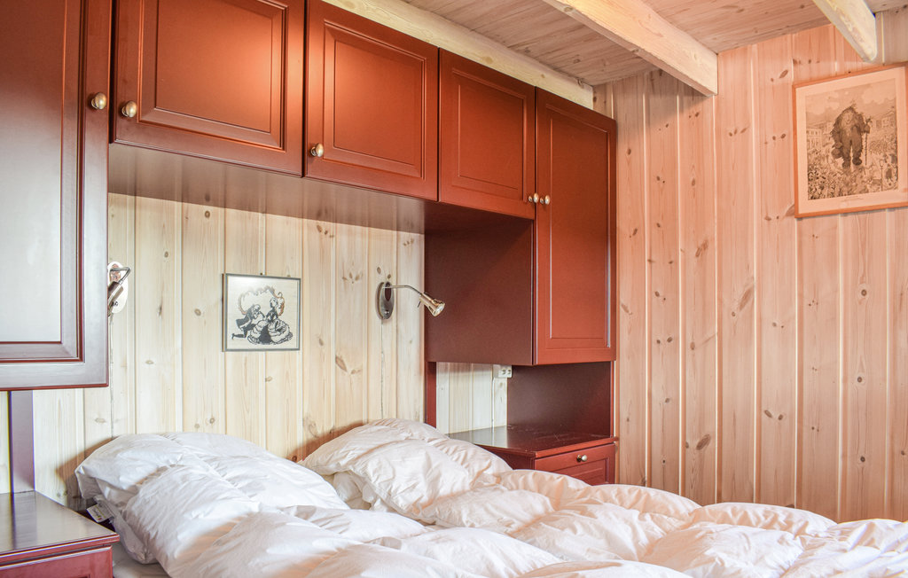 Feriehuse - Sjusjøen , Norge - N31905 17