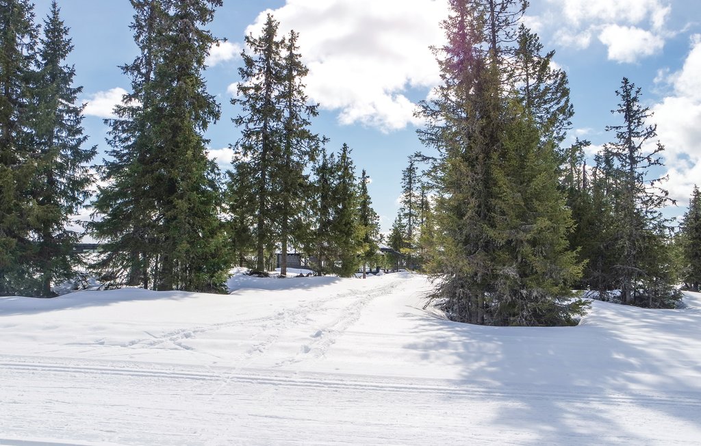 Feriehuse - Sjusjøen , Norge - N31980 15