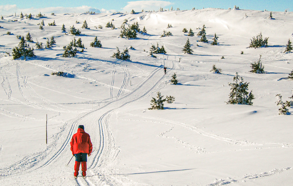 Ferienhaus - Nordseter/Lillehammer/Sjusjøen , Norwegen - N31983 26