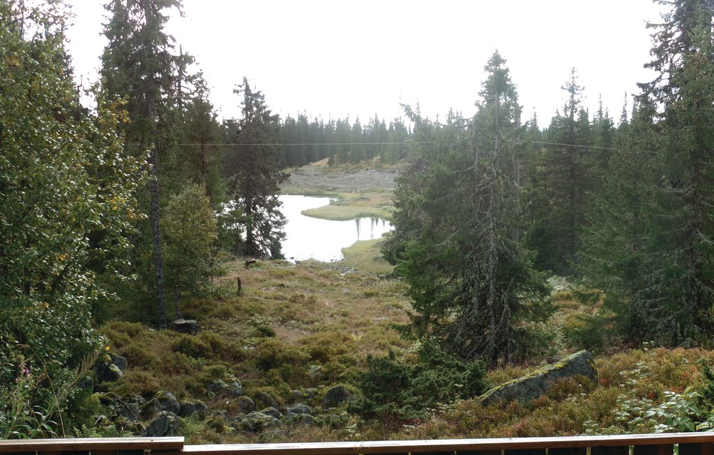 Feriehuse - Sjusjøen , Norge - N31308 6