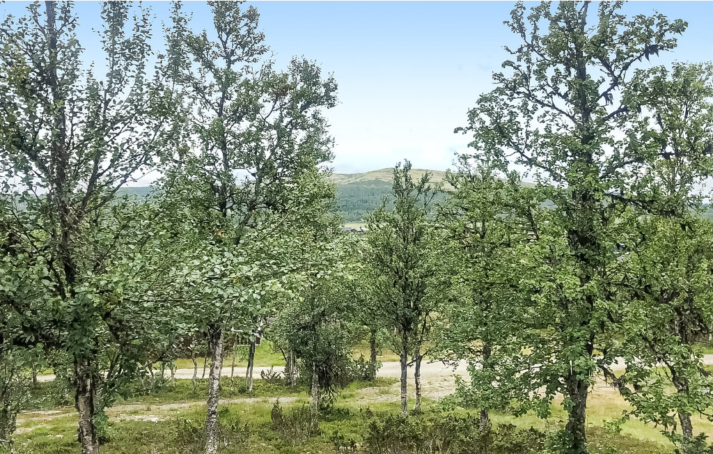 Ferienhaus - Venabygdsfjellet/Ringebu , Norwegen - N31355 8