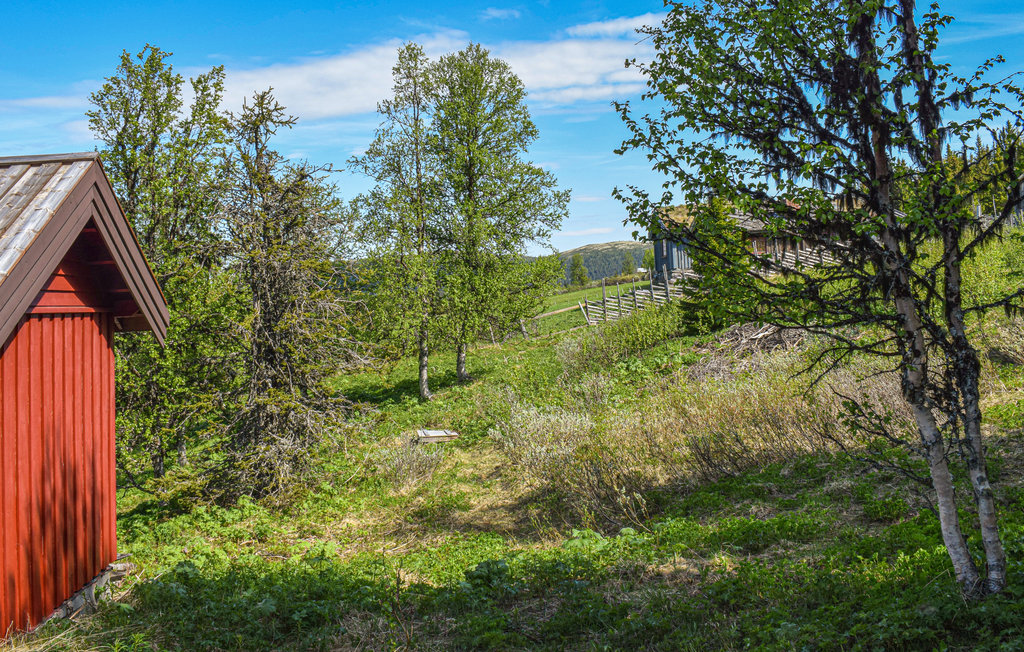 Feriehuse - Sør-Fron , Norge - N31504 9