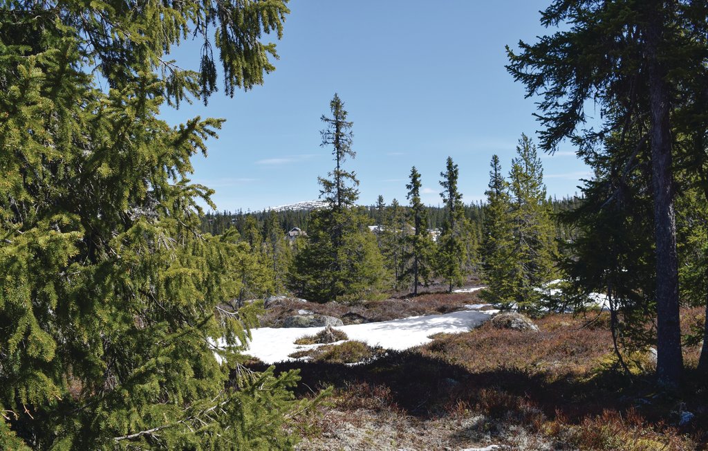 Feriehuse - Sjusjøen , Norge - N31929 9