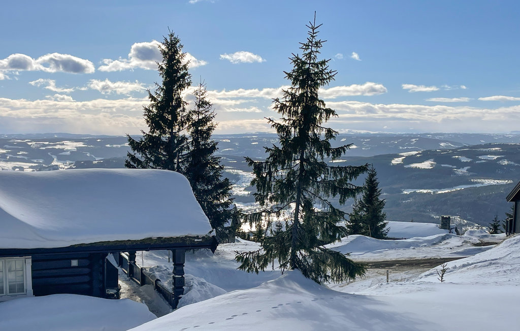 Ferienwohnung - Hafjell , Norwegen - N31622 1