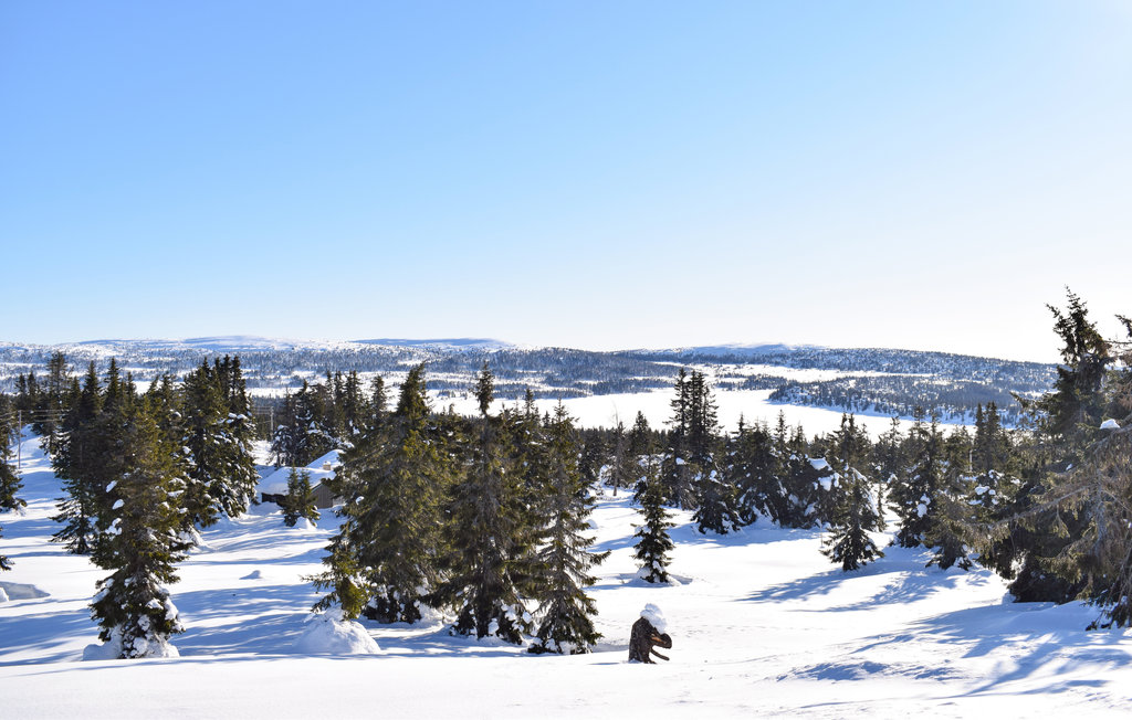 Ferienhaus - Sjusjøen , Norwegen - N31940 12