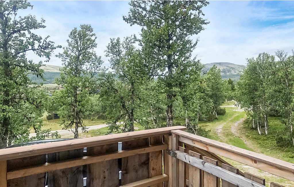 Ferienhaus - Venabygdsfjellet/Ringebu , Norwegen - N31355 7