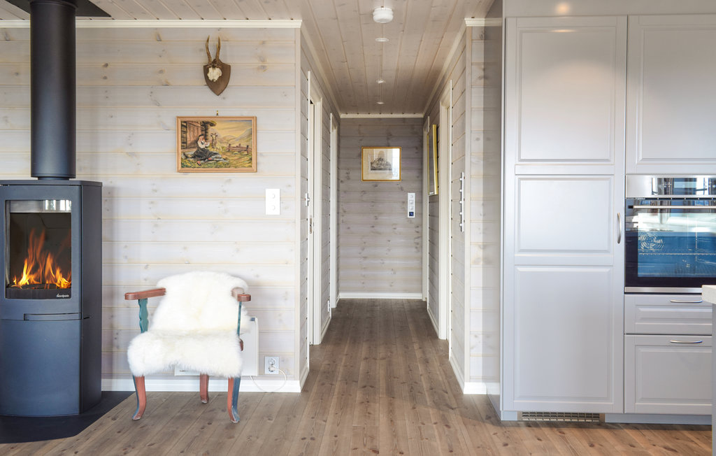 Ferienhaus - Sjusjøen , Norwegen - N31940 15