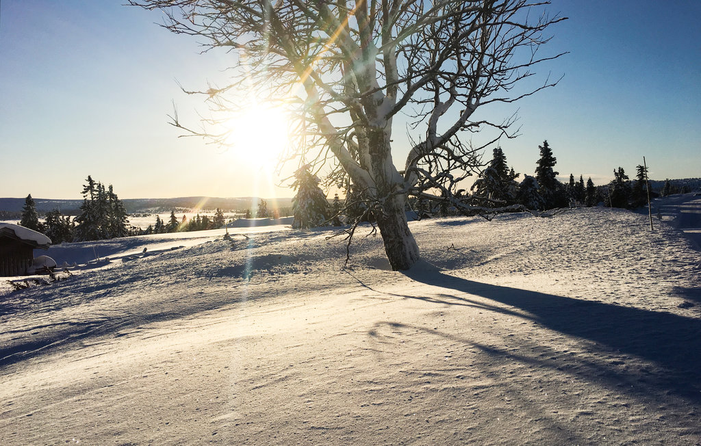 Lejlighed - Sjusjøen , Norge - N31876 8