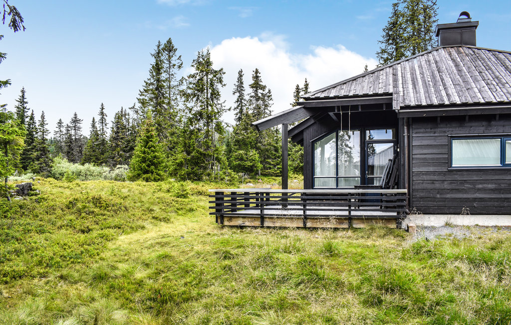 Feriehuse - Sjusjøen , Norge - N31916 5